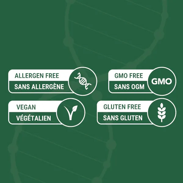 Divine Supplement - Family Pack (9+1 Bottles)