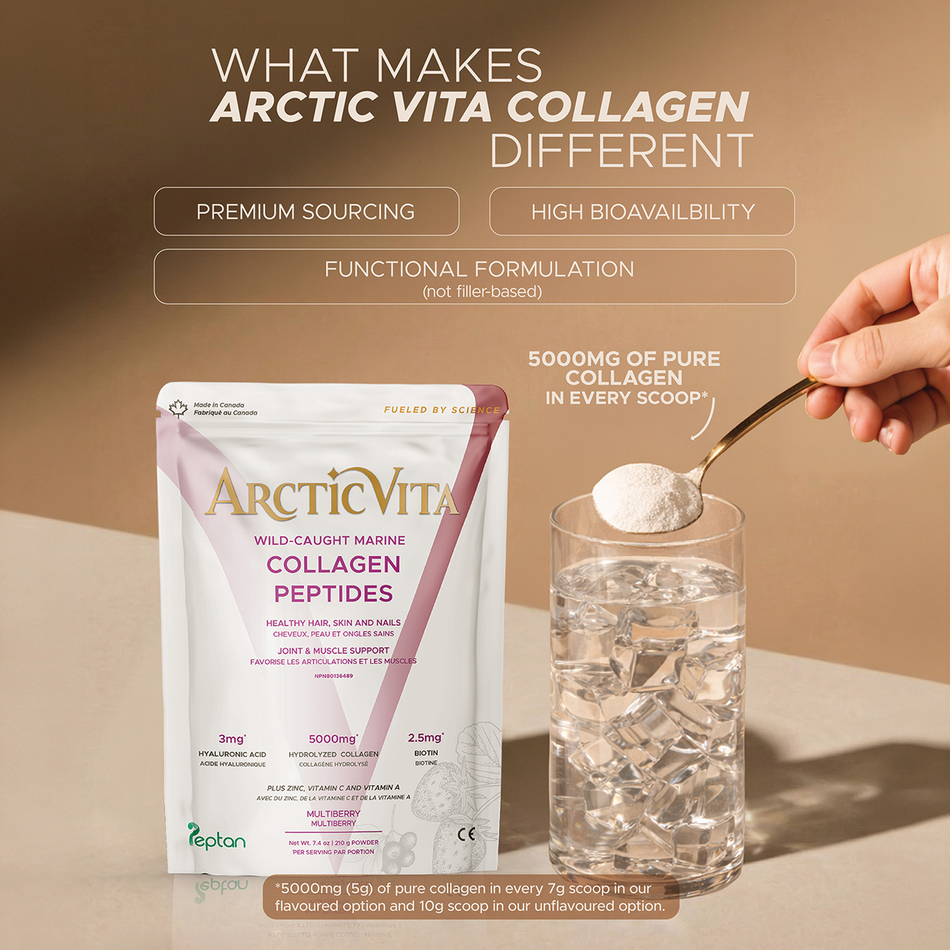 Arctic Vita Collagen Multi-Berry - Single Pouch 