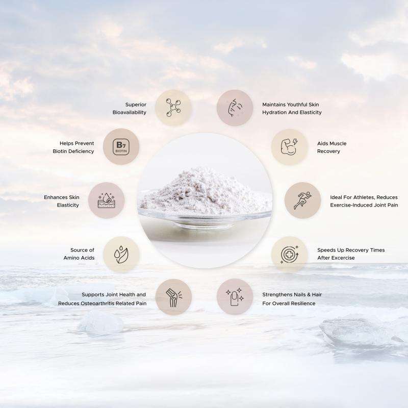 Arctic Vita Collagen Multi-Berry - Single Pouch  thumbnail 4