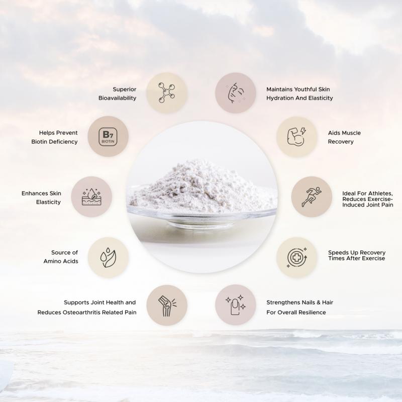 Arctic Vita Collagen - Quad Set (4 Pouches) thumbnail 11