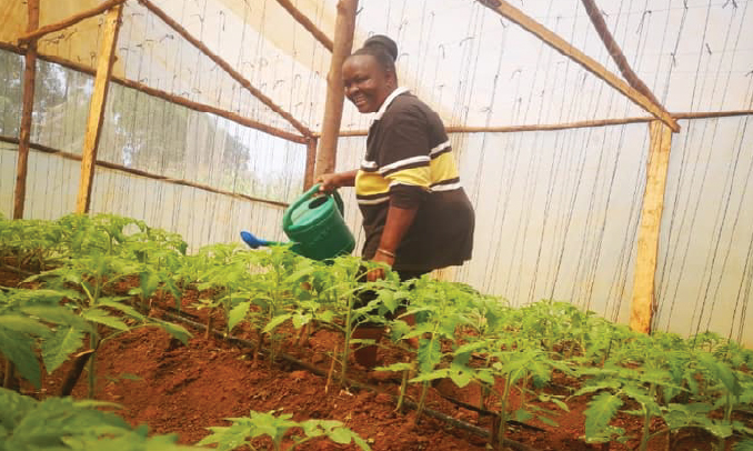 African women at indoor farming room with opulence cares staff